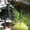 Apartments Cule, Cres (island Cres)